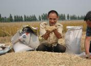 ϲӭ���� �������