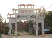 ͼ������