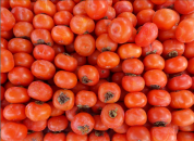 �ֹ�����