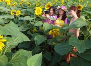 �۹�ũҵ��ũ����