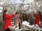 ����ӣ�ҹ�