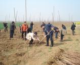 ������Ѹ�����𴺼�ֲ�����ָ߳�