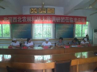 ��ׯ���ٿ��Ļ��ż������뷢չ������̸��