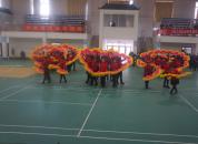 ����ʮ����Ԫ��      ��������������