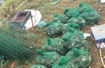 �����򱾵ش�բз�����ʡ�����