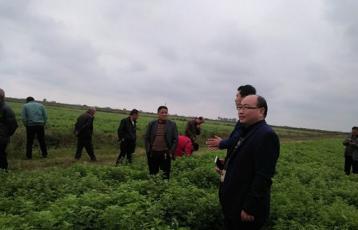 ������ίפ�幤���Ӵ�����ƽ���񶼽ֵ����Ҹڴ�ƶ�����ιۿ��찬��ҵ