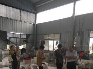 �����ֵ����ٽܡ����紴�´�ҵ  ������ҵ������